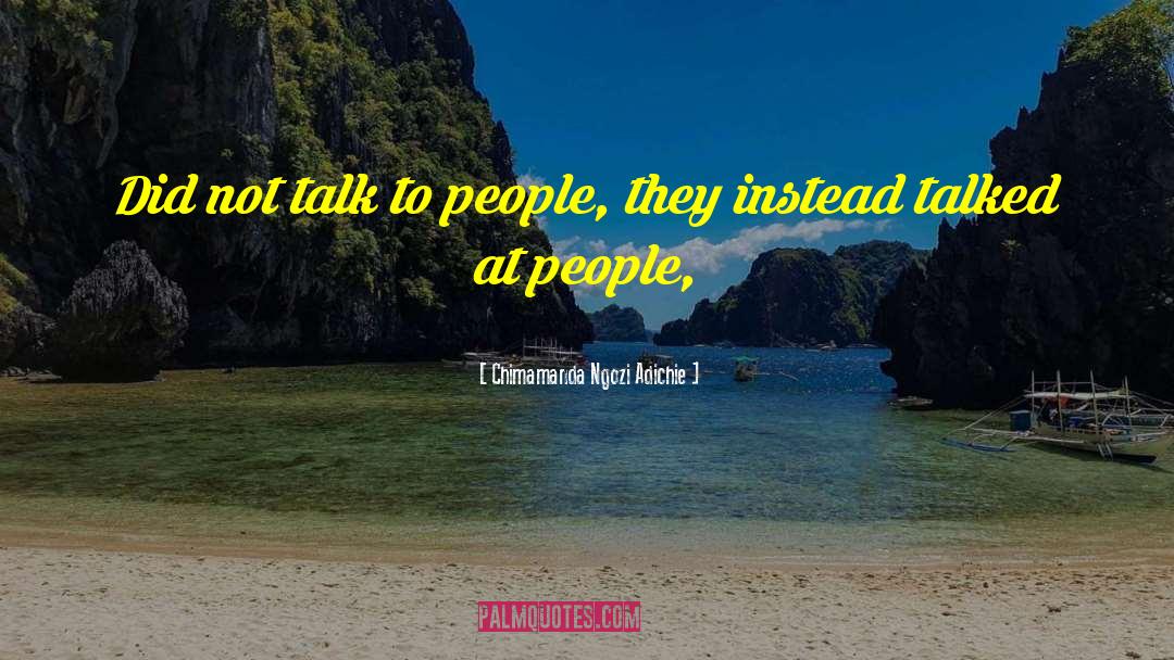 Chimamanda Ngozi Adichie Quotes: Did not talk to people,