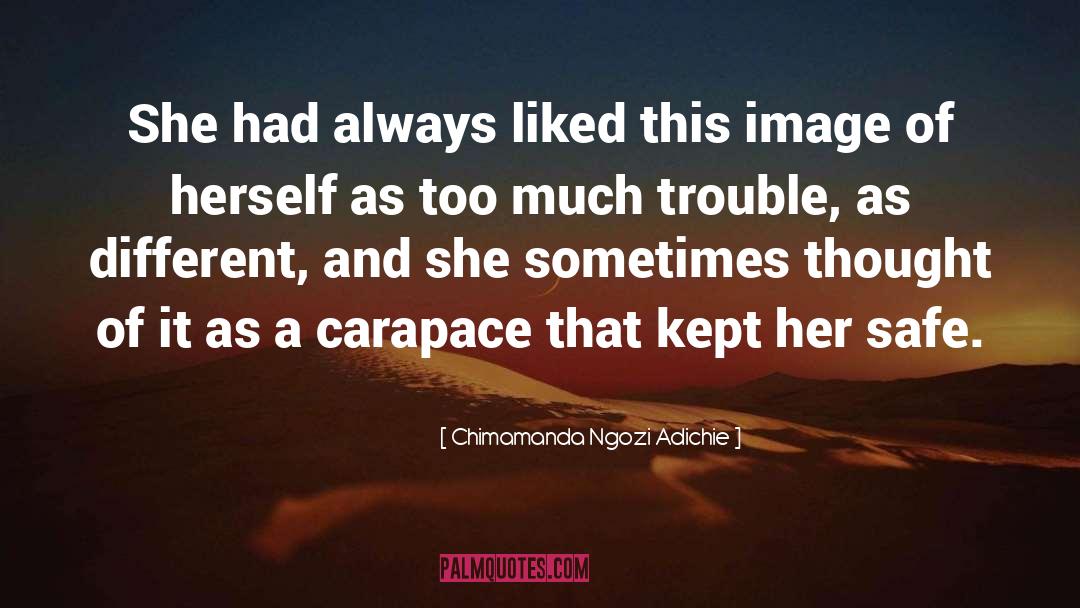 Chimamanda Ngozi Adichie Quotes: She had always liked this
