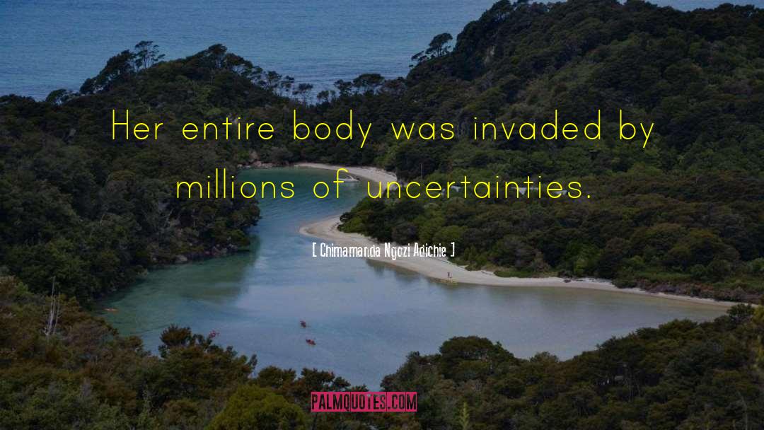 Chimamanda Ngozi Adichie Quotes: Her entire body was invaded