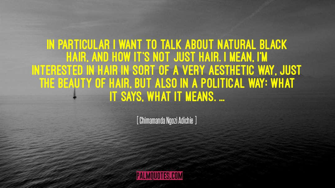 Chimamanda Ngozi Adichie Quotes: In particular I want to