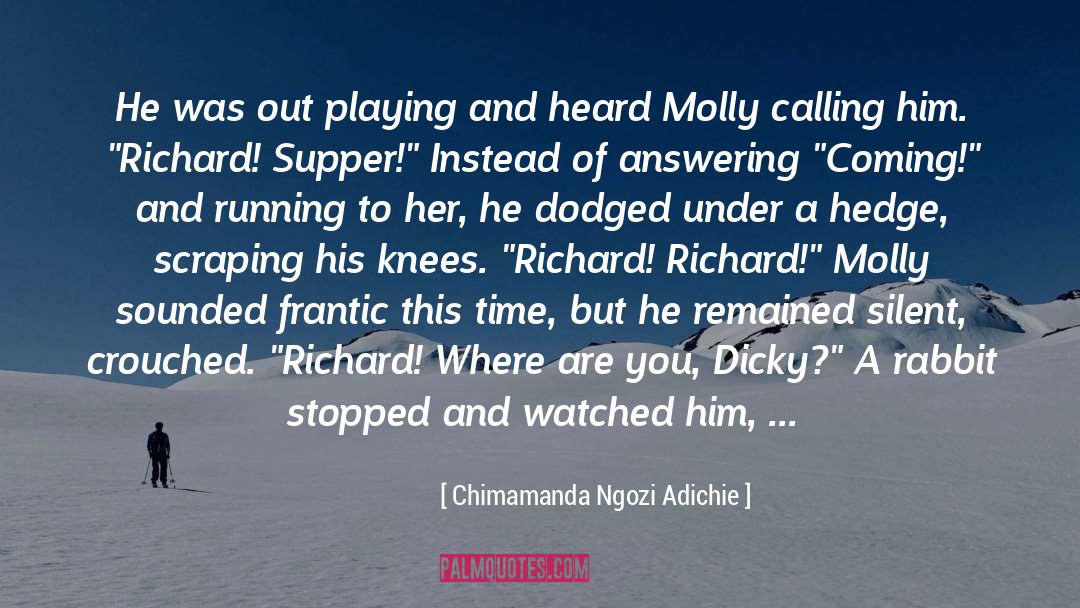 Chimamanda Ngozi Adichie Quotes: He was out playing and