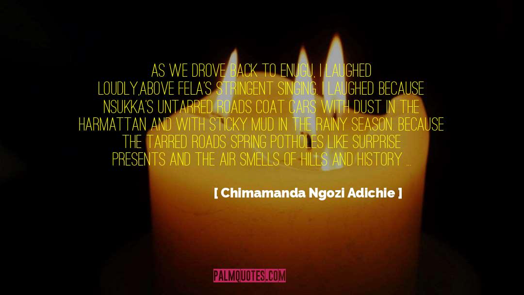 Chimamanda Ngozi Adichie Quotes: As we drove back to