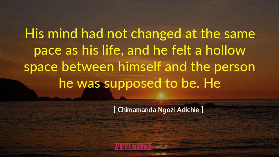 Chimamanda Ngozi Adichie Quotes: His mind had not changed