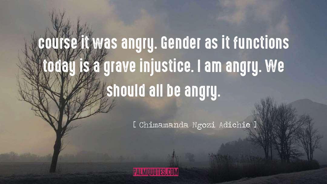 Chimamanda Ngozi Adichie Quotes: course it was angry. Gender