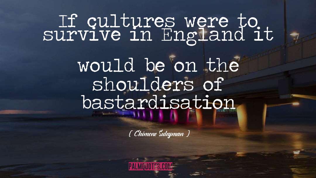 Chimene Suleyman Quotes: If cultures were to survive