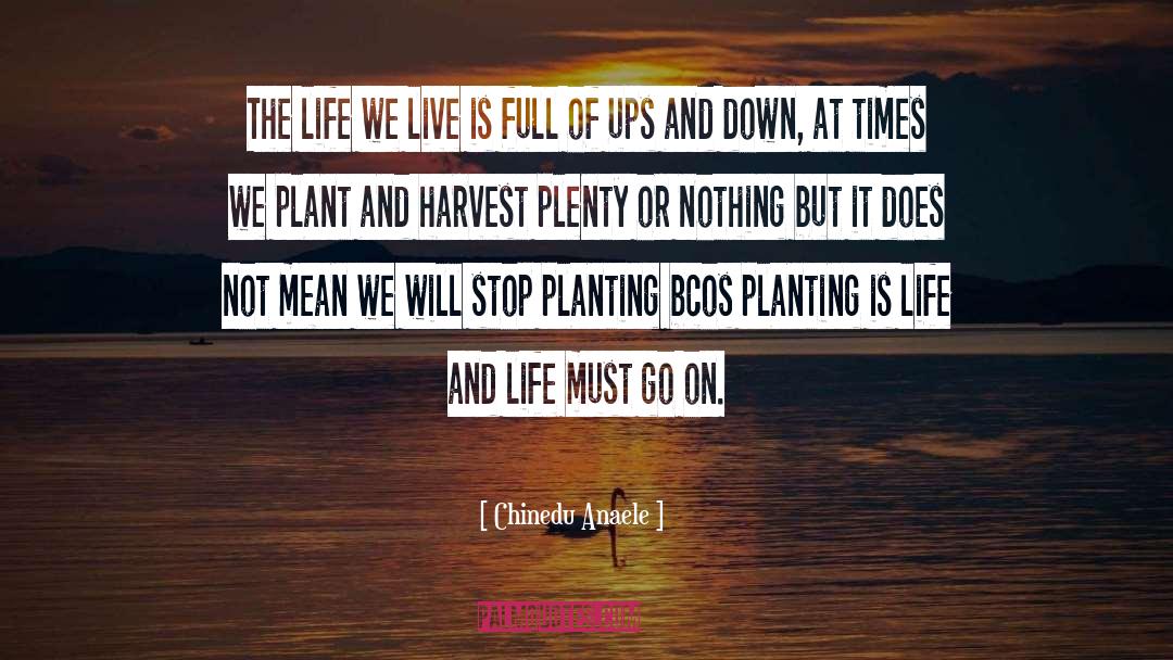 Chinedu Anaele Quotes: The life we live is