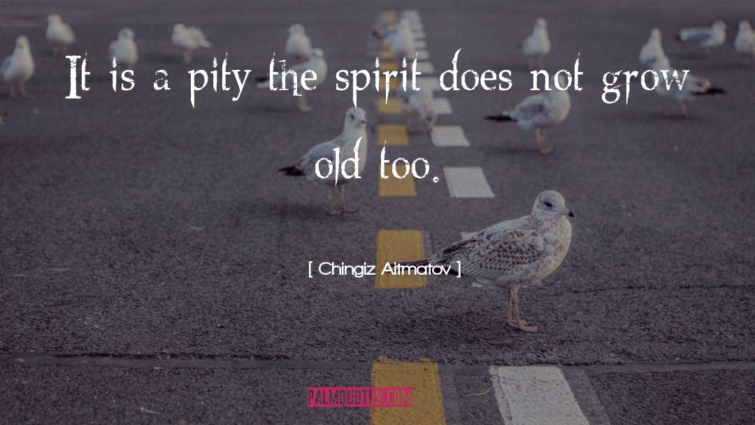 Chingiz Aitmatov Quotes: It is a pity the
