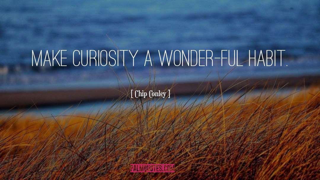Chip Conley Quotes: Make curiosity a wonder-ful habit.