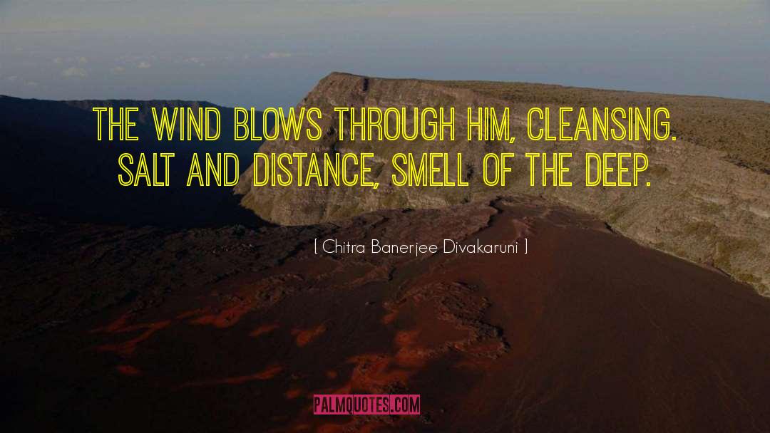 Chitra Banerjee Divakaruni Quotes: The wind blows through him,