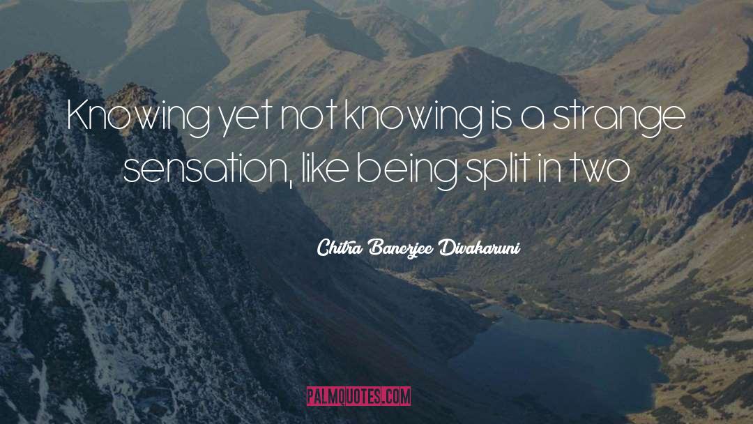Chitra Banerjee Divakaruni Quotes: Knowing yet not knowing is
