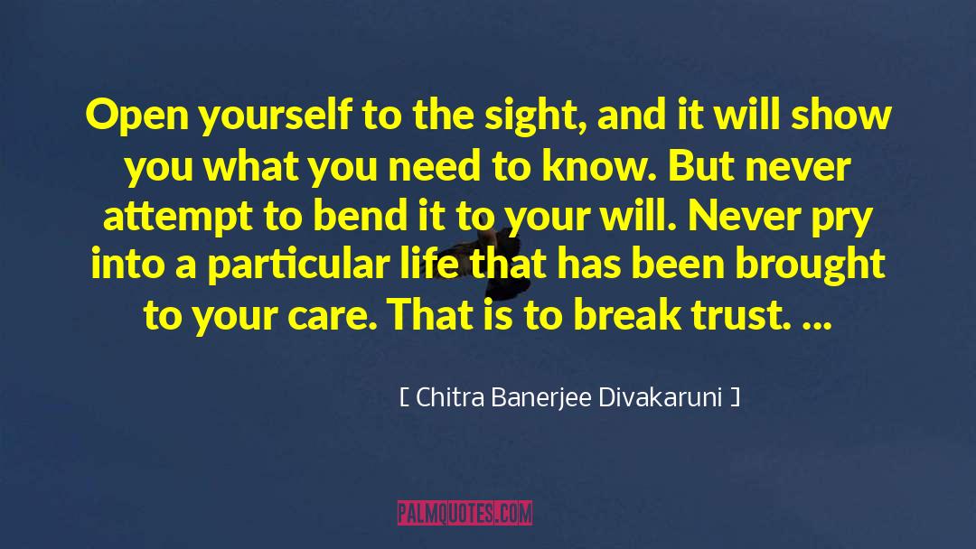 Chitra Banerjee Divakaruni Quotes: Open yourself to the sight,