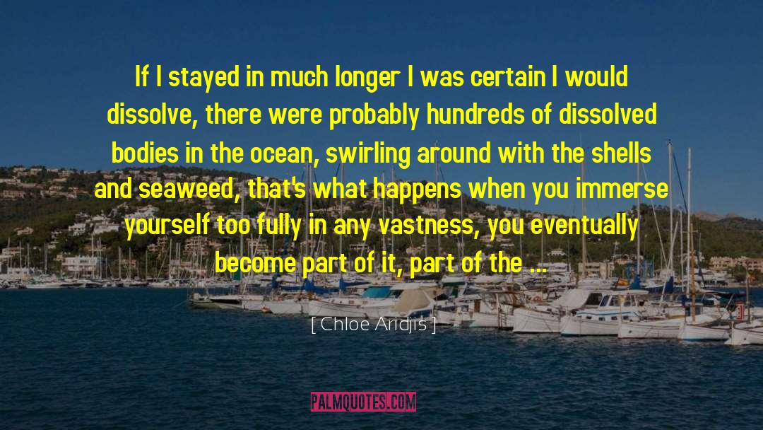 Chloe Aridjis Quotes: If I stayed in much