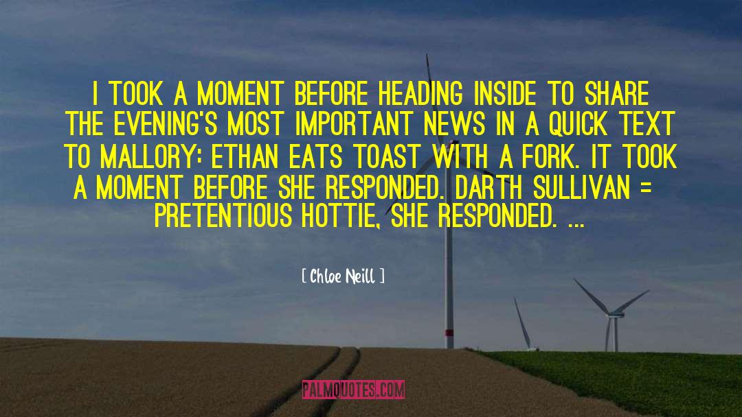 Chloe Neill Quotes: I took a moment before