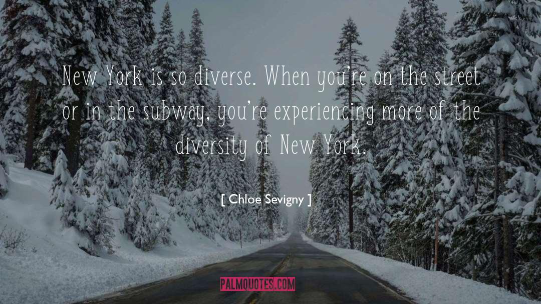 Chloe Sevigny Quotes: New York is so diverse.