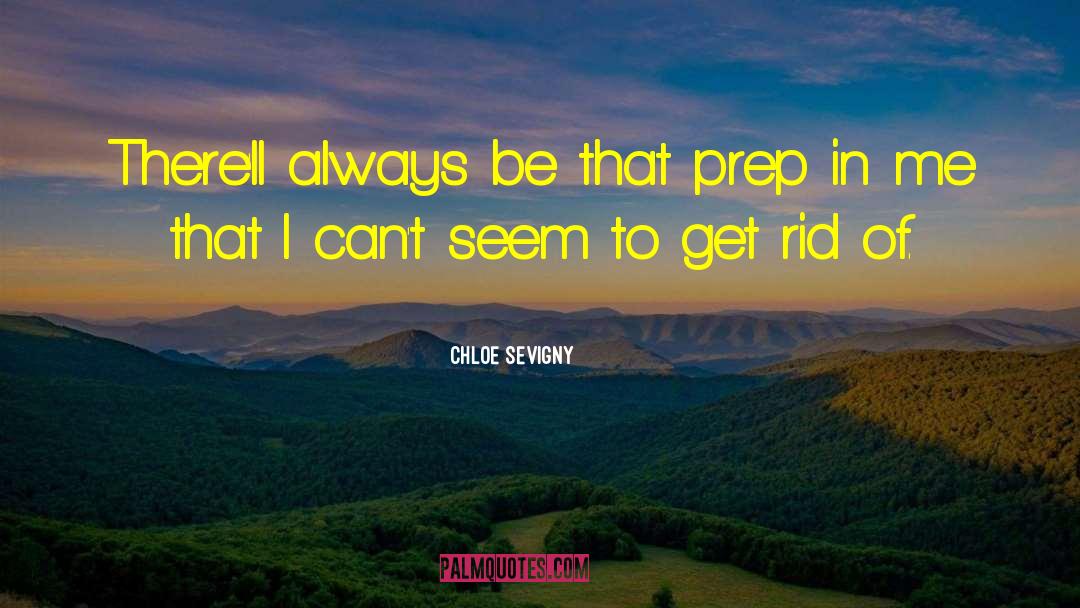 Chloe Sevigny Quotes: There'll always be that prep