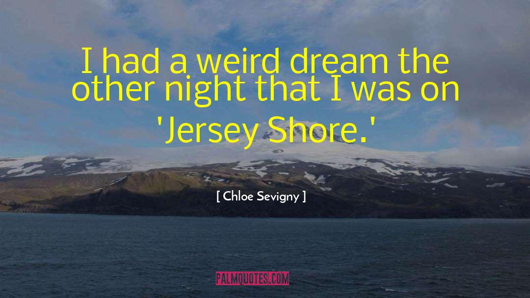 Chloe Sevigny Quotes: I had a weird dream