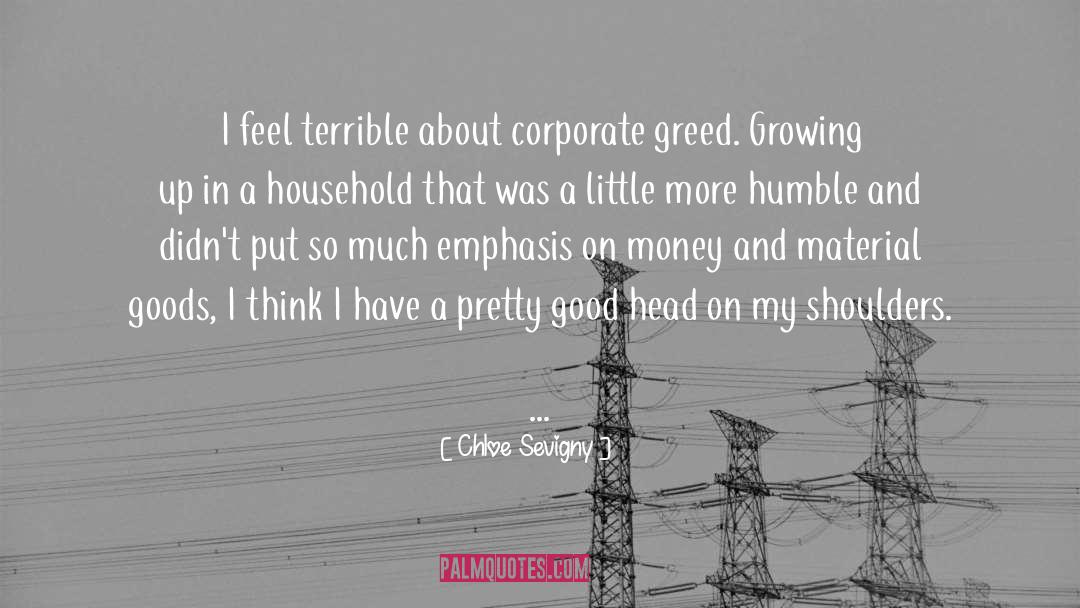 Chloe Sevigny Quotes: I feel terrible about corporate