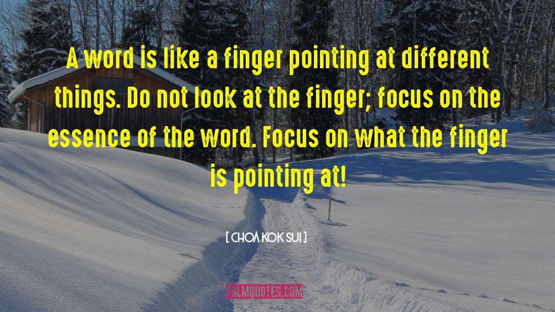 Choa Kok Sui Quotes: A word is like a