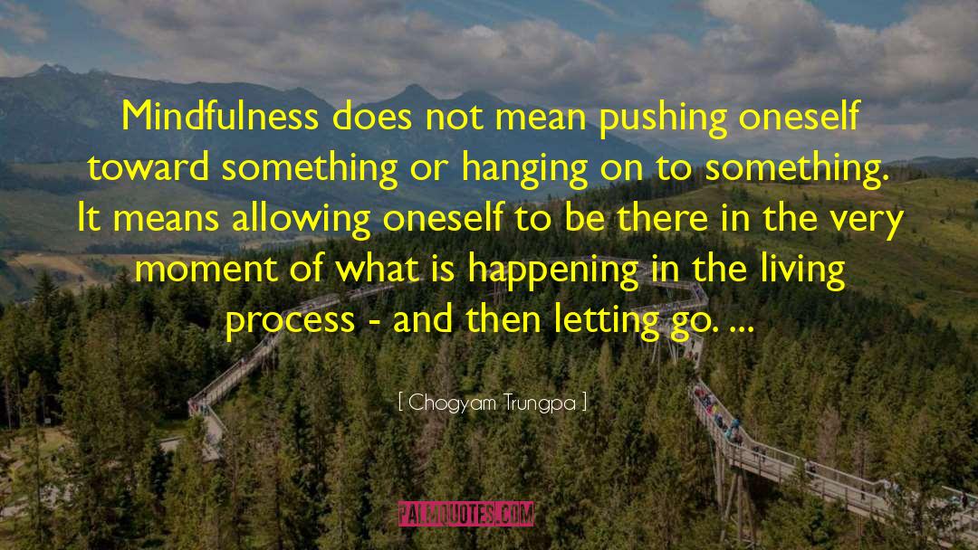 Chogyam Trungpa Quotes: Mindfulness does not mean pushing