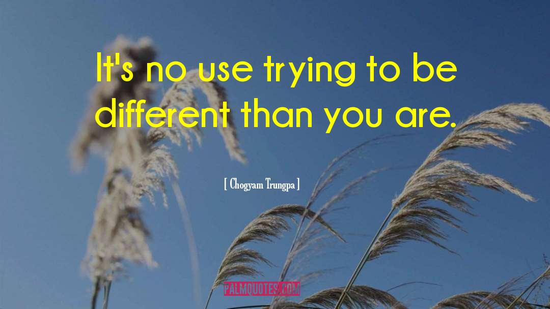 Chogyam Trungpa Quotes: It's no use trying to