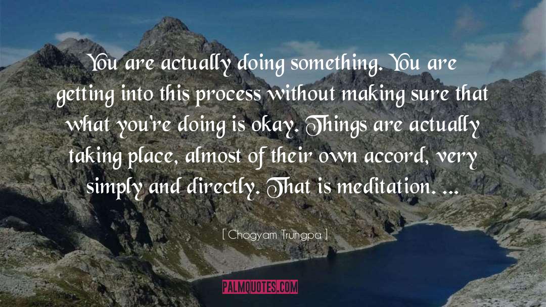 Chogyam Trungpa Quotes: You are actually doing something.