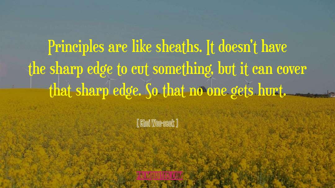 Choi Woo-seok Quotes: Principles are like sheaths. It