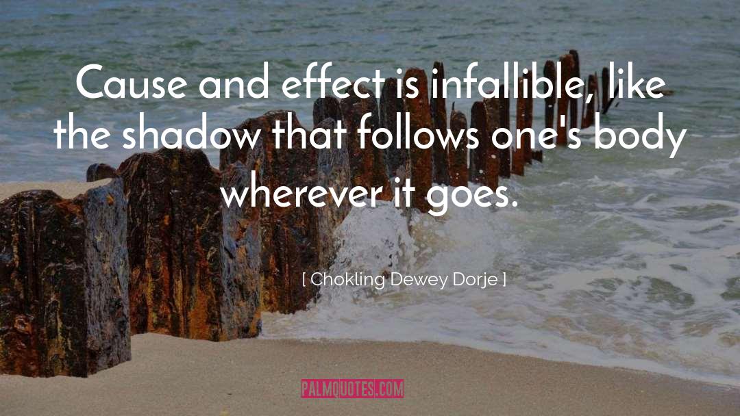 Chokling Dewey Dorje Quotes: Cause and effect is infallible,