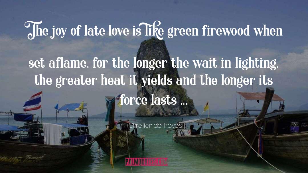 Chretien De Troyes Quotes: The joy of late love