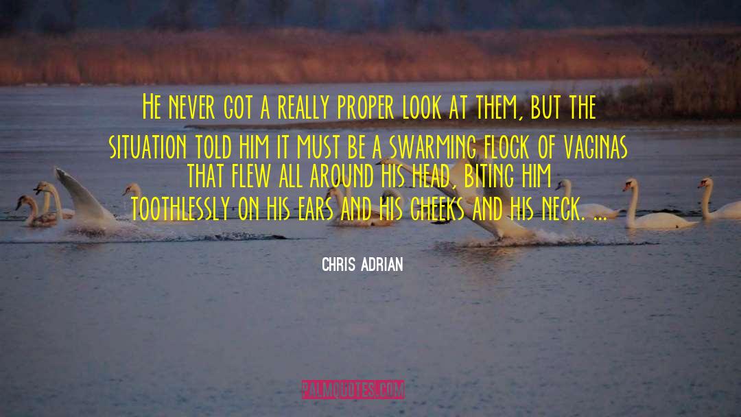 Chris Adrian Quotes: He never got a really