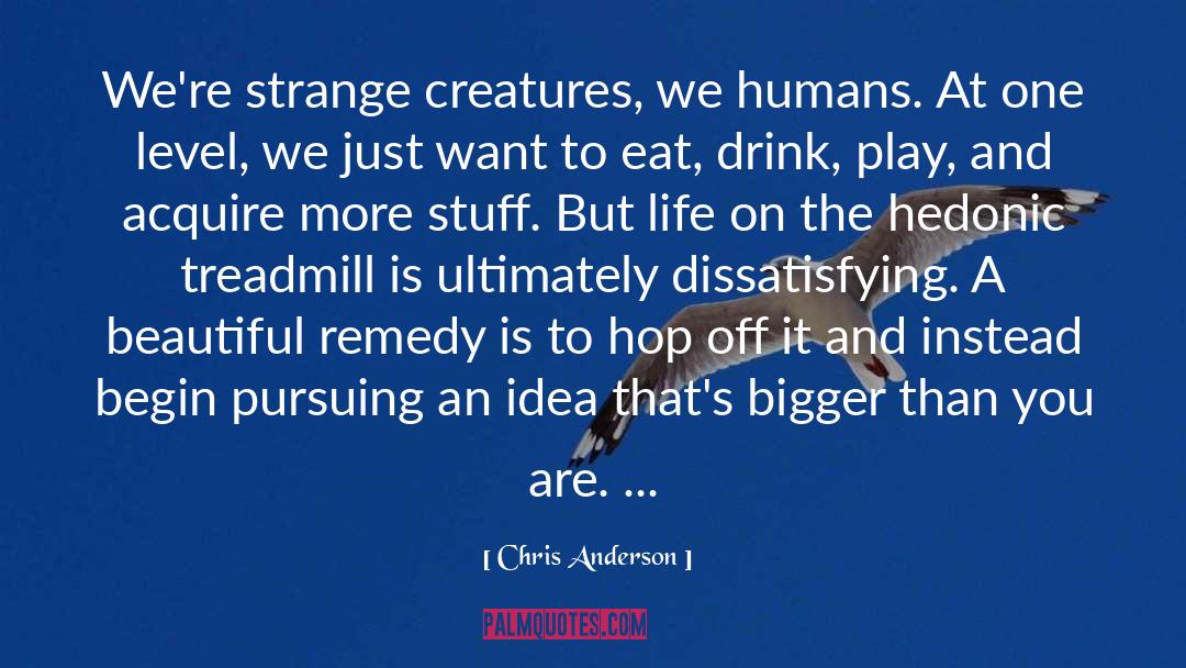 Chris Anderson Quotes: We're strange creatures, we humans.