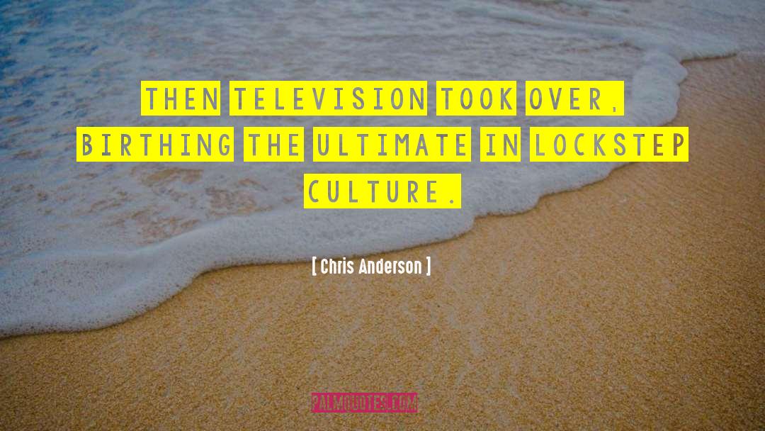 Chris Anderson Quotes: Then television took over, birthing