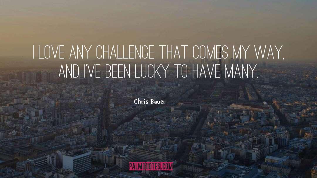 Chris Bauer Quotes: I love any challenge that