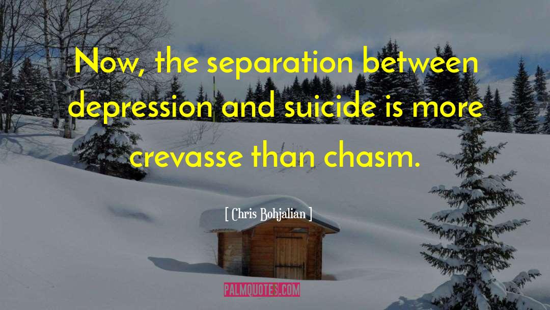 Chris Bohjalian Quotes: Now, the separation between depression