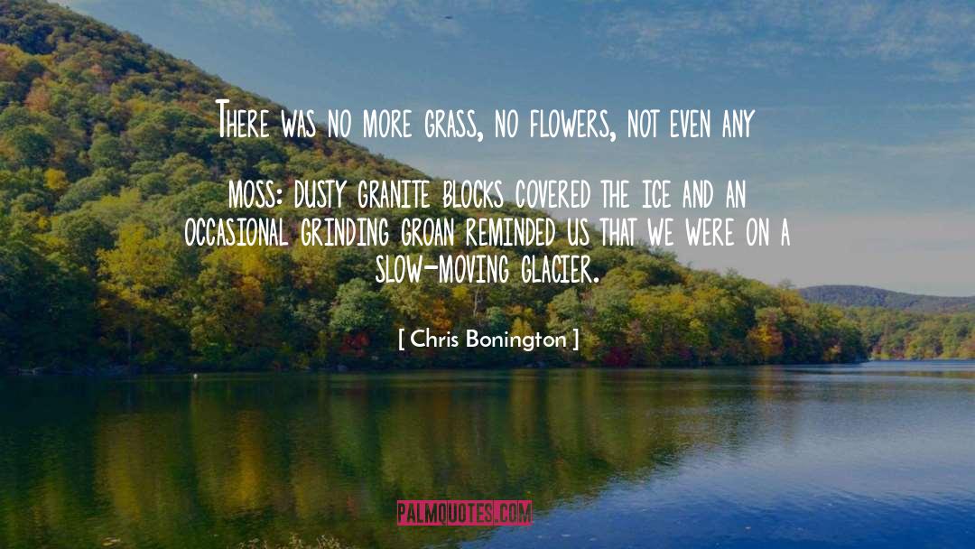 Chris Bonington Quotes: There was no more grass,