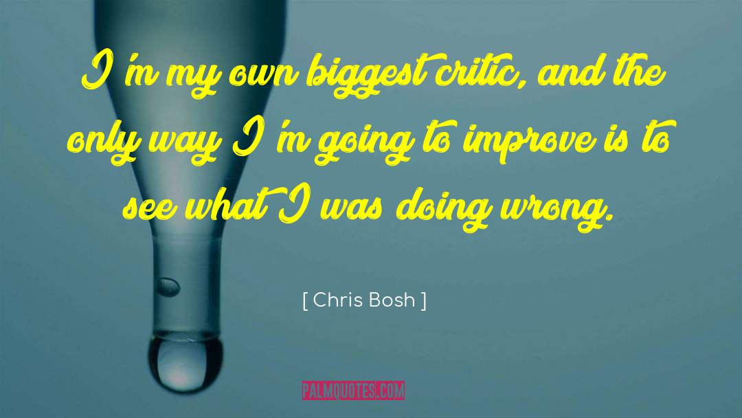 Chris Bosh Quotes: I'm my own biggest critic,