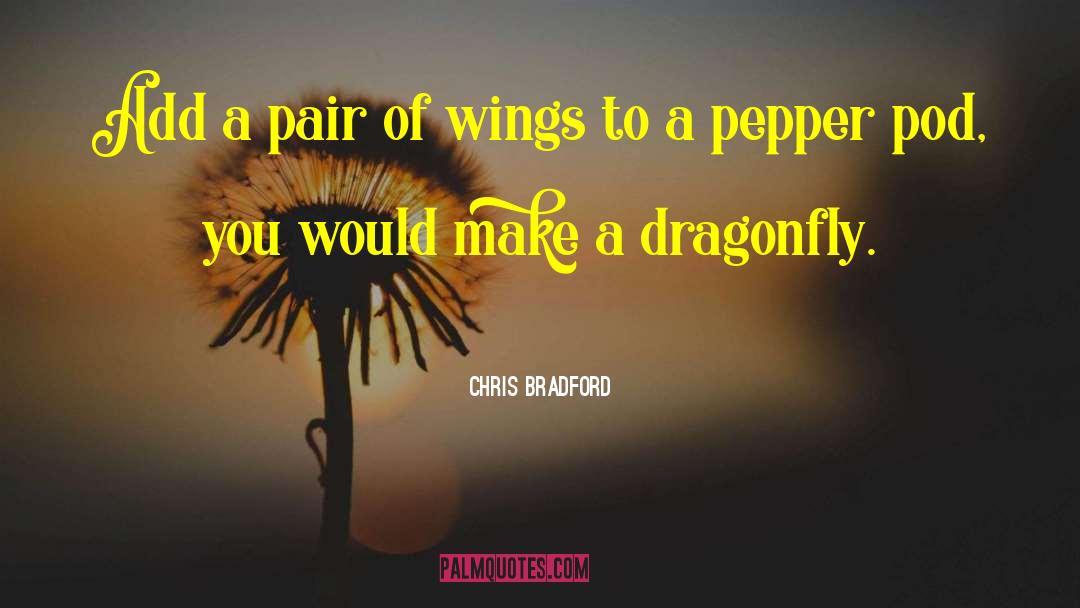 Chris Bradford Quotes: Add a pair of wings