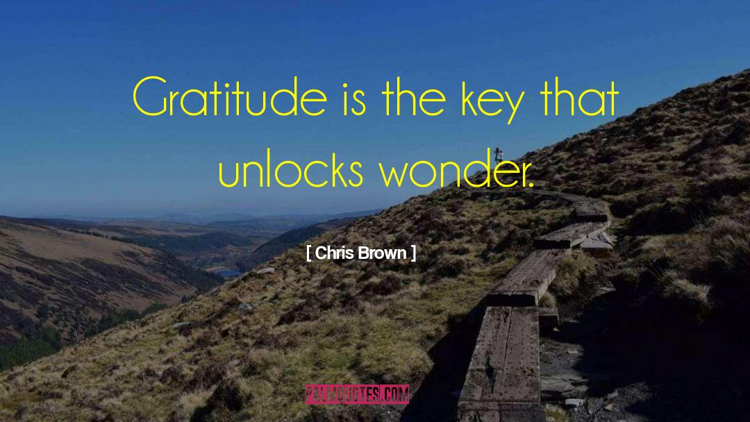 Chris Brown Quotes: Gratitude is the key that