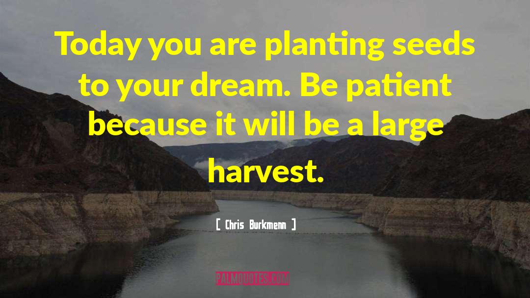 Chris Burkmenn Quotes: Today you are planting seeds