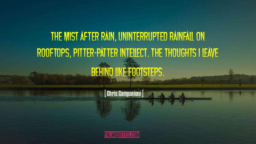 Chris Campanioni Quotes: The mist after rain, uninterrupted