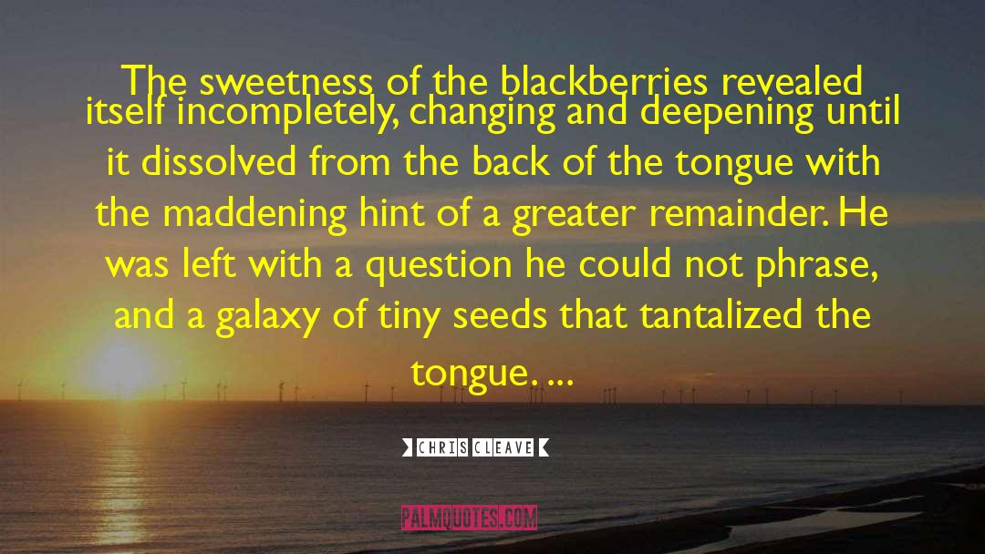 Chris Cleave Quotes: The sweetness of the blackberries