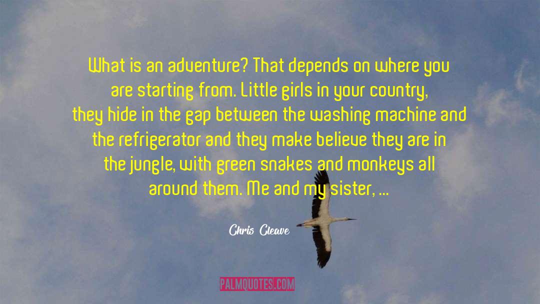 Chris Cleave Quotes: What is an adventure? That