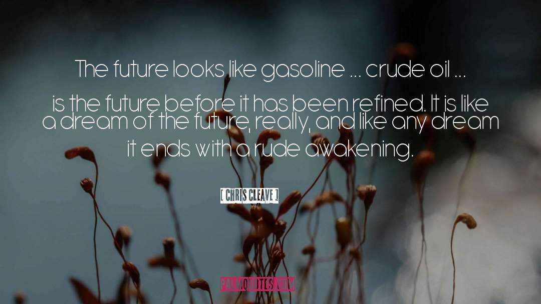 Chris Cleave Quotes: The future looks like gasoline