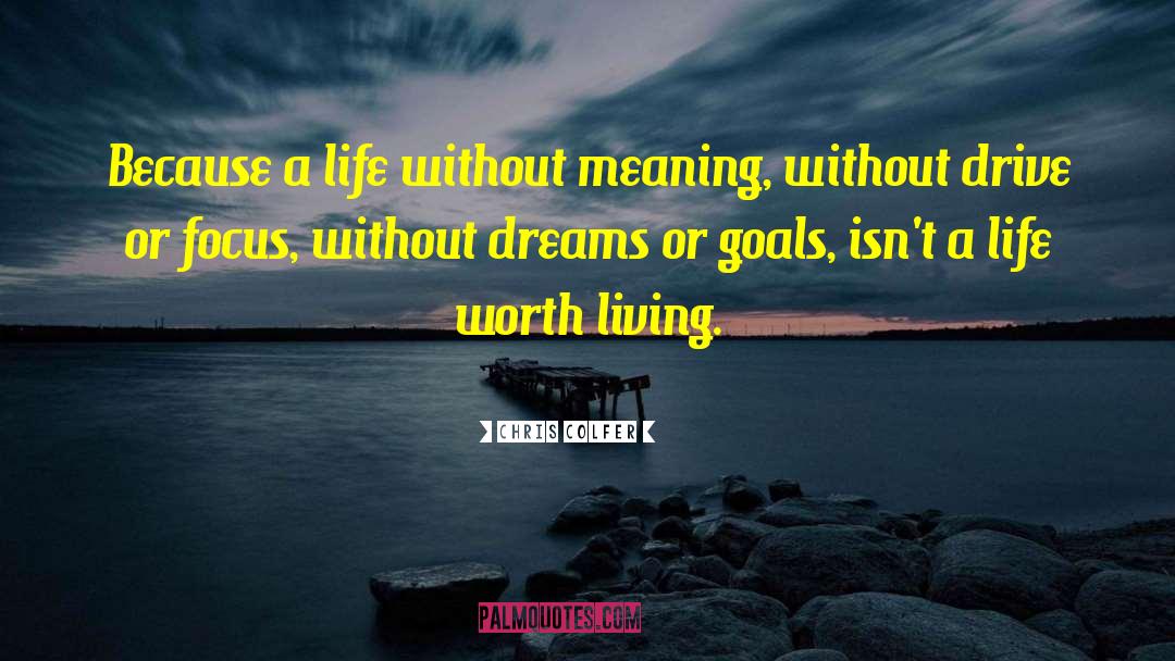 Chris Colfer Quotes: Because a life without meaning,