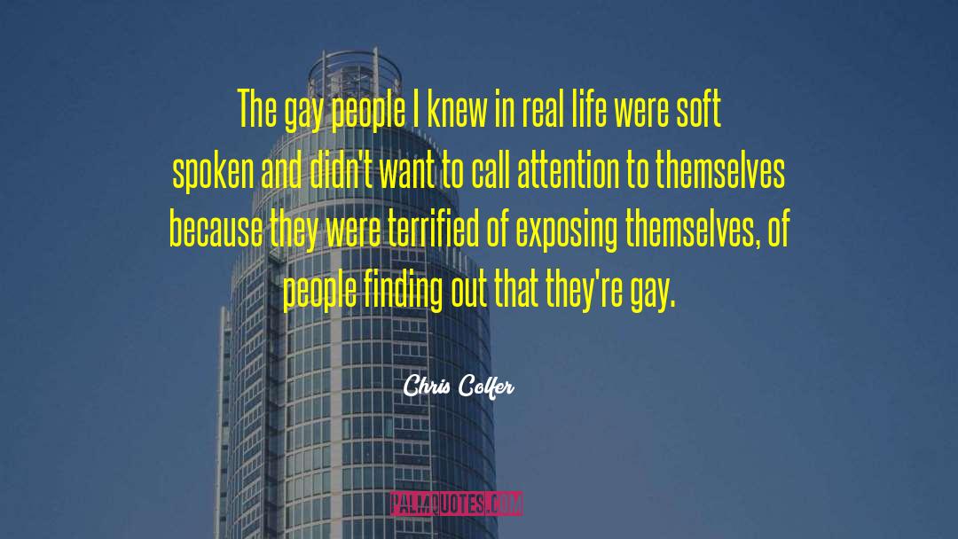 Chris Colfer Quotes: The gay people I knew