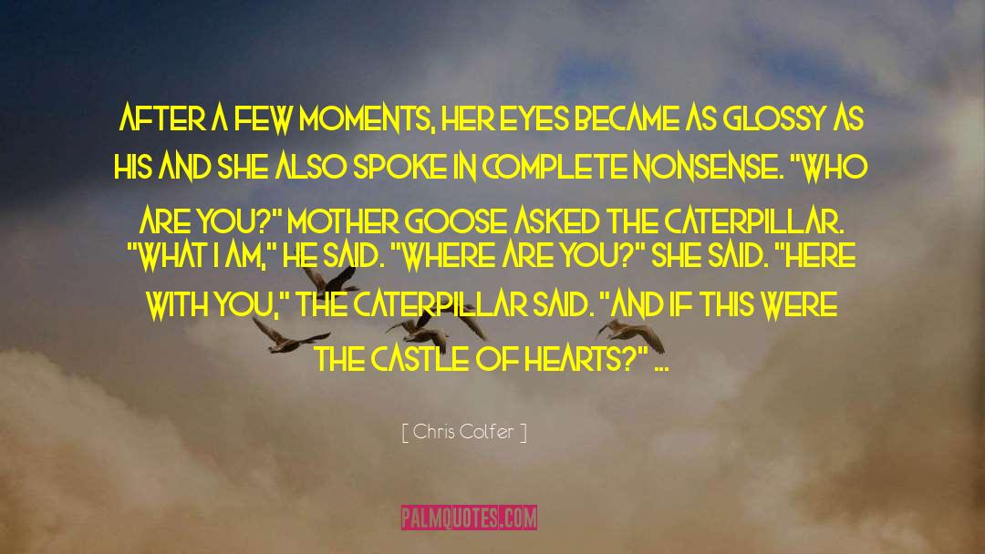 Chris Colfer Quotes: After a few moments, her