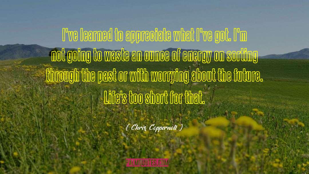 Chris Coppernoll Quotes: I've learned to appreciate what