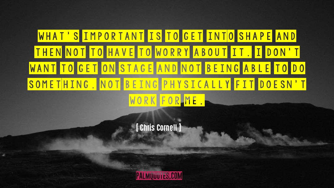 Chris Cornell Quotes: What's important is to get