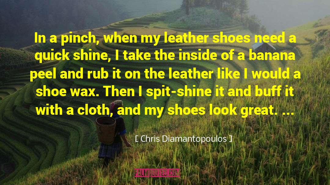 Chris Diamantopoulos Quotes: In a pinch, when my