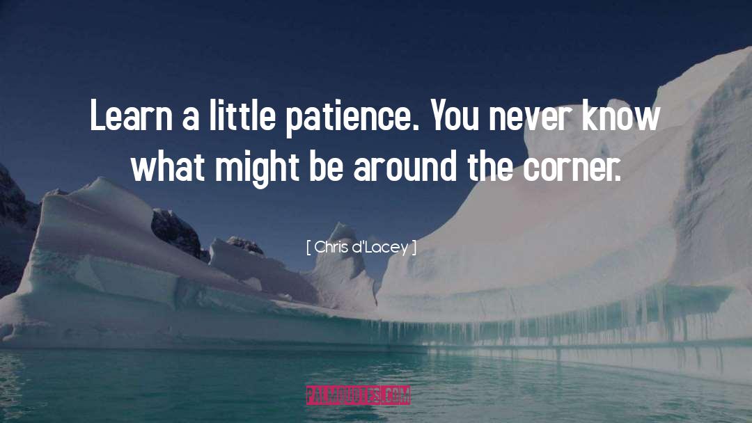 Chris D'Lacey Quotes: Learn a little patience. You