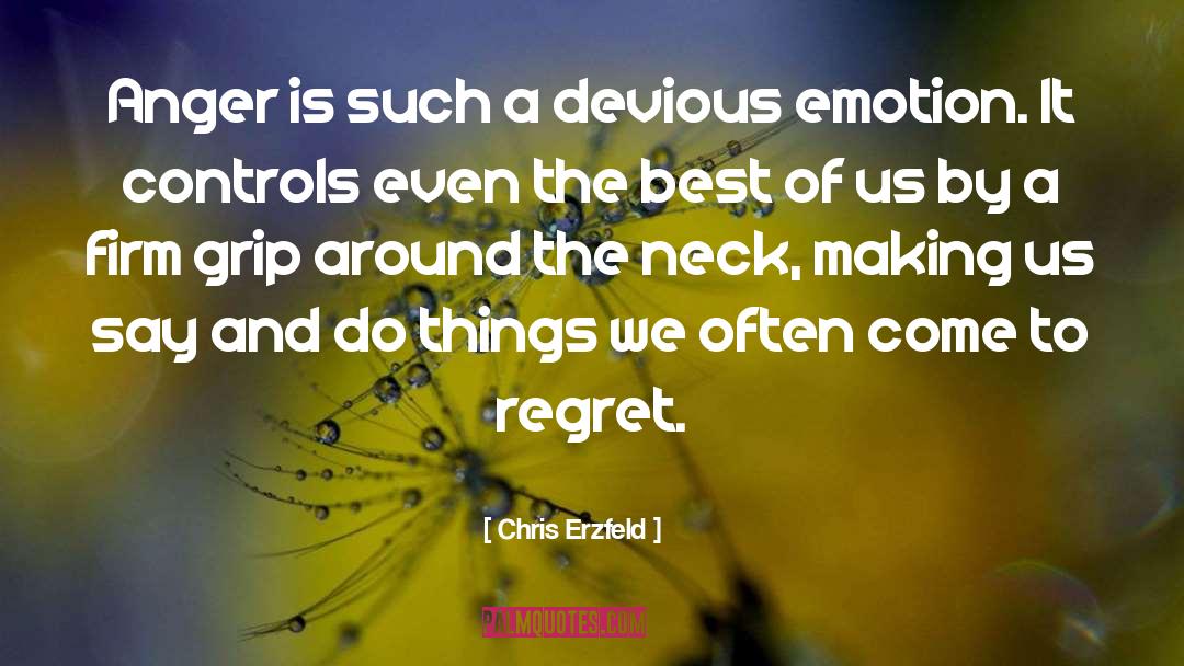 Chris Erzfeld Quotes: Anger is such a devious